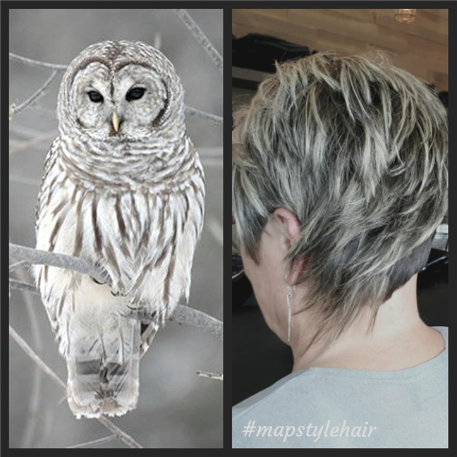 Blonde et légère comme une plume 🦉