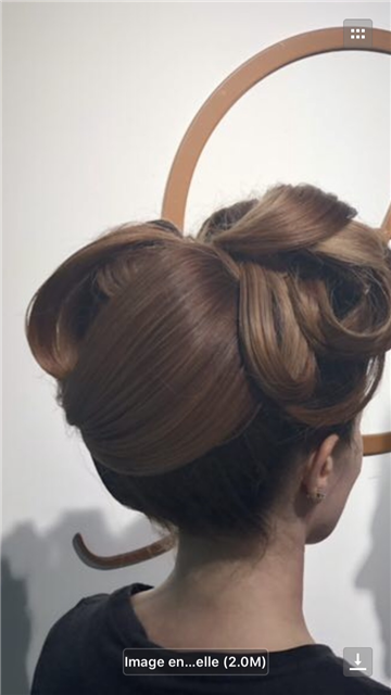 Chignon 