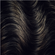 Portfolio of Ludovic Constant